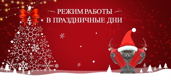 Режим работы в праздничные дни